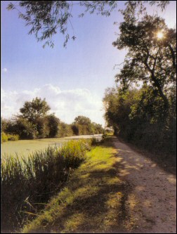 Canal between Harby and Hose