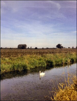 Looking towards Owthorpe