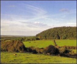 Vale of Belvoir from Stathern Wood