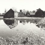 hickling basin 1955