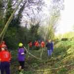 Canal Clearance Crop Bis